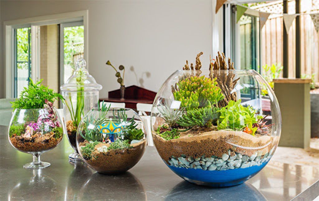 Tiểu cảnh để bàn làm việc Terrarium