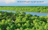 Cần Giờ – khởi sinh không gian sống thượng lưu