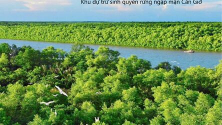 Cần Giờ – khởi sinh không gian sống thượng lưu
